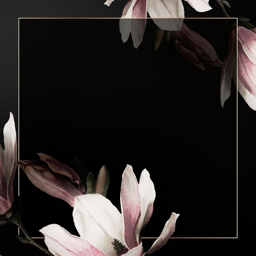 Magnolia border frame psd on black background