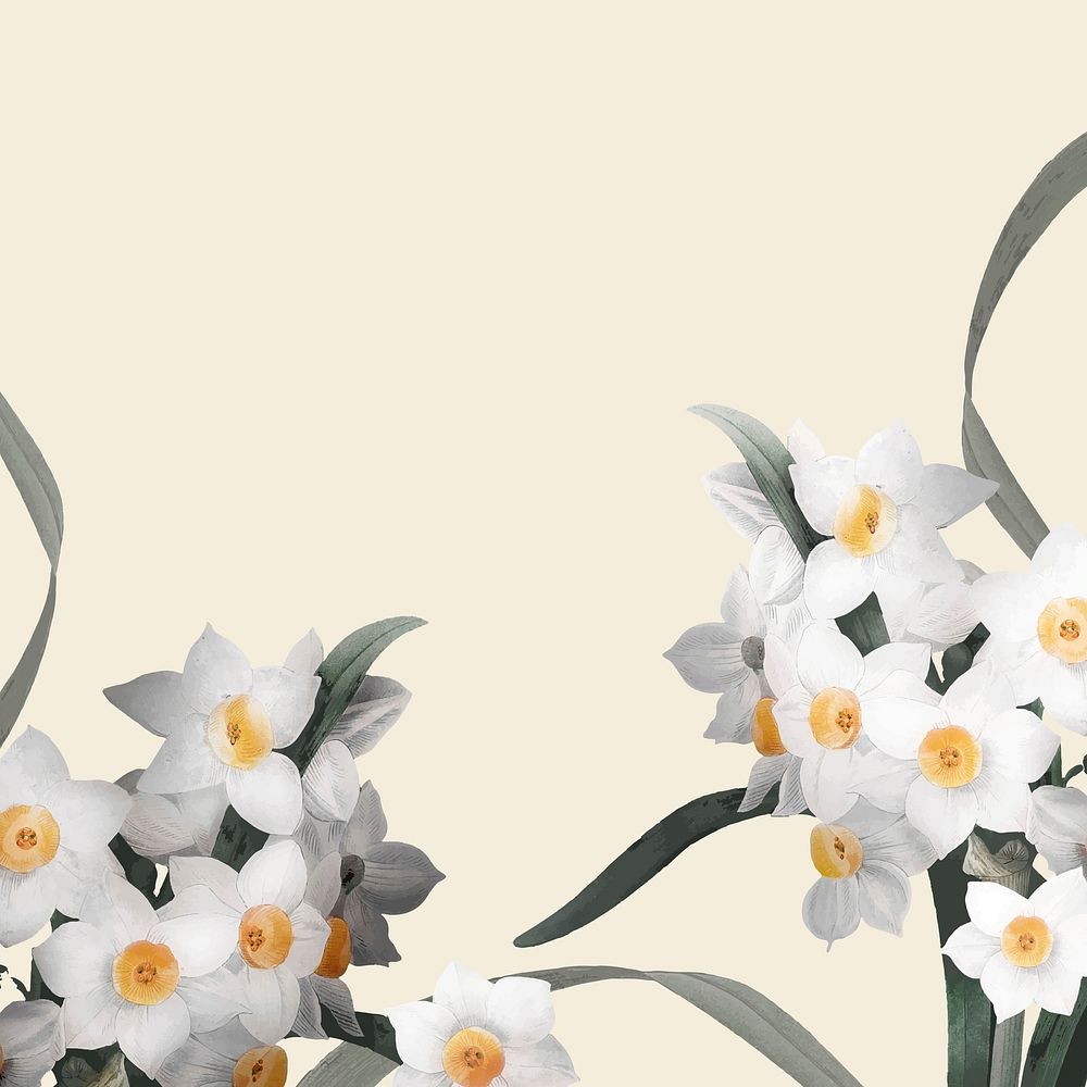 Easter border with daffodil vector