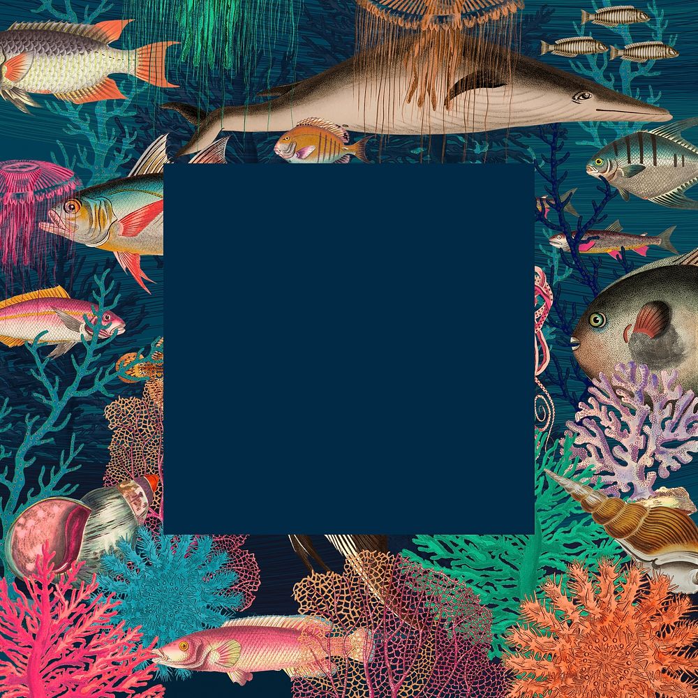 Vintage frame illustration with underwater pattern, remixed from public domain artworks