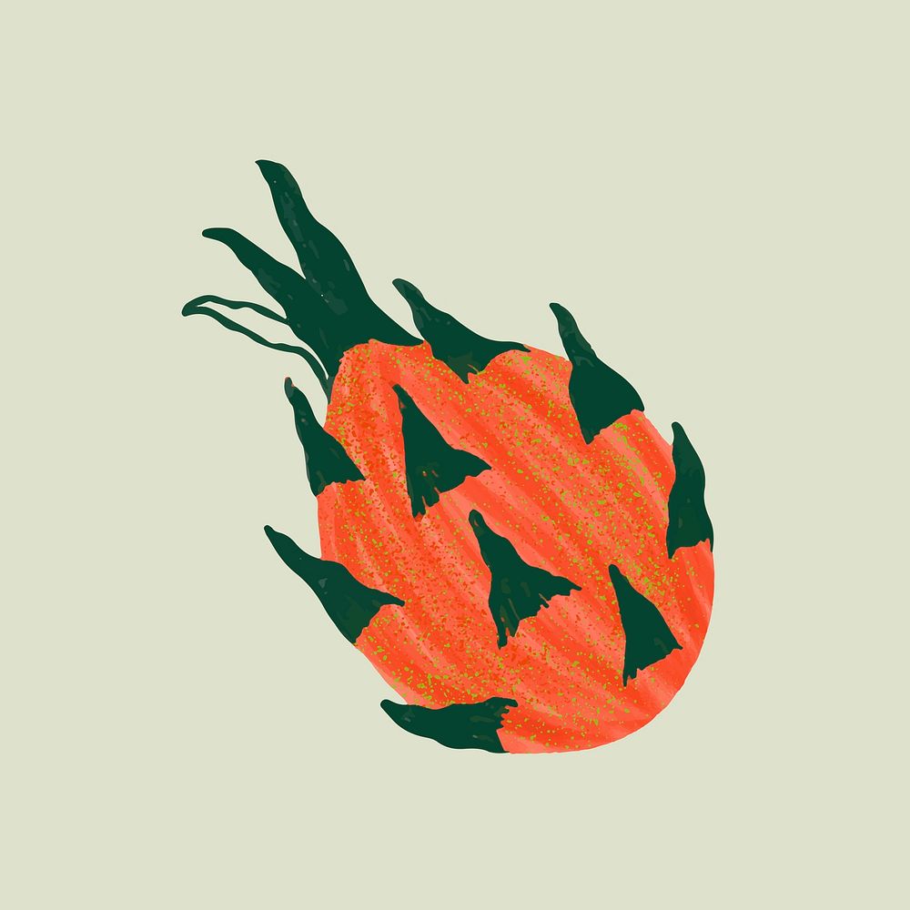 Orange dragon fruit colorful tropical illustration