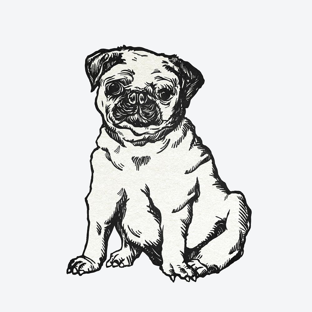 Cute pug dog sticker vector vintage illustration