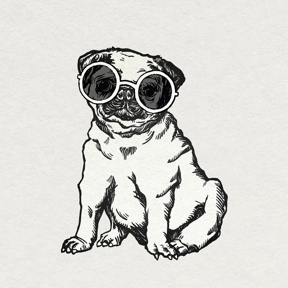 Vintage pug dog vector sticker with cute sunglasses