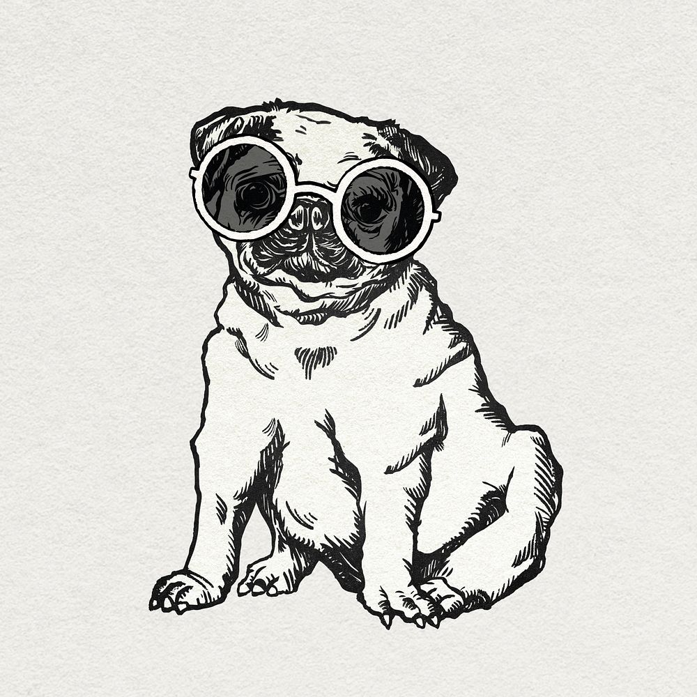 Vintage pug dog psd sticker with cute sunglasses