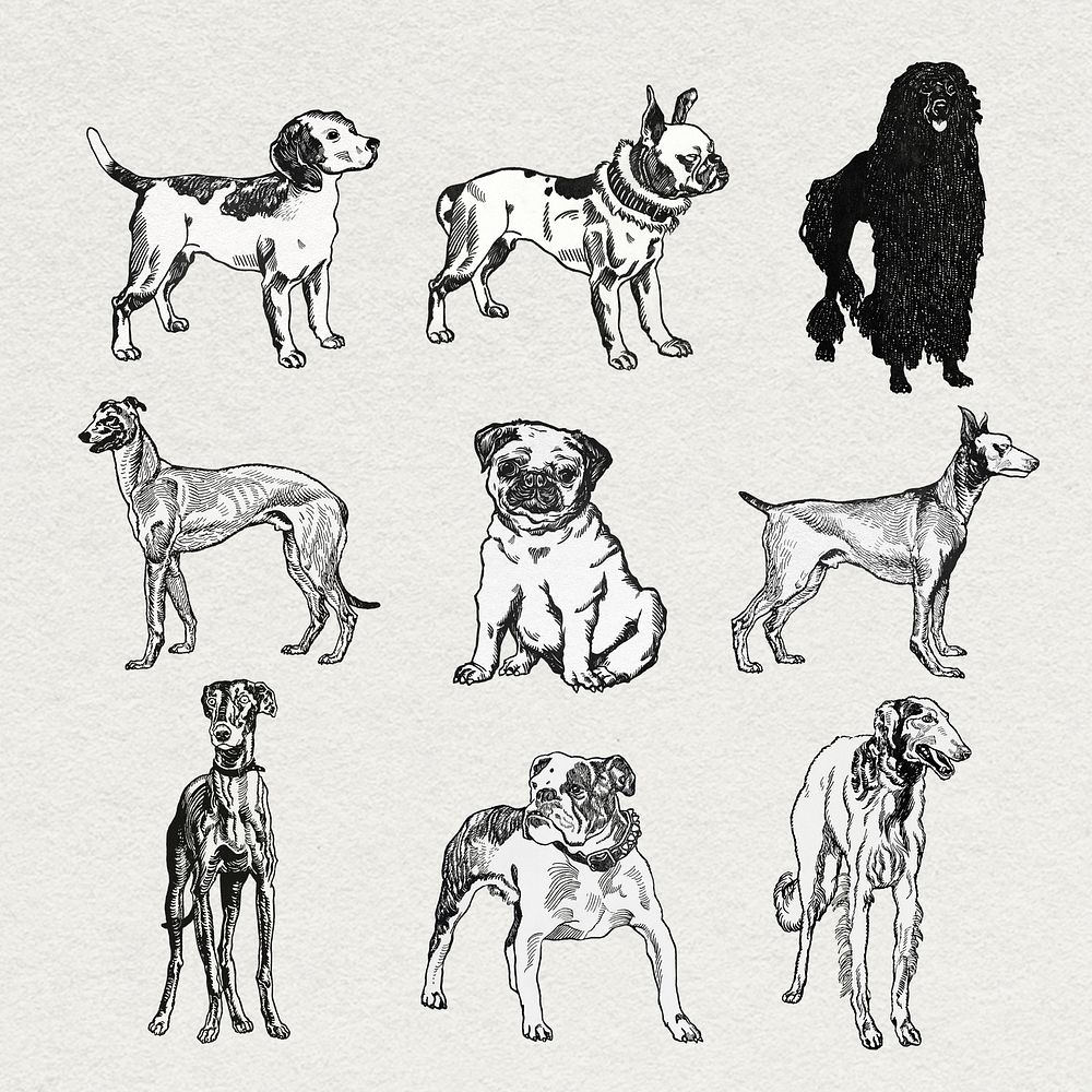 Vintage dog stickers psd in black and white illustrations set, remixed from artworks by Moriz Jung