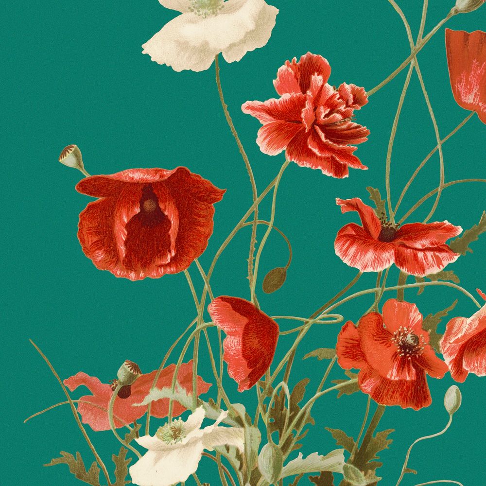 Spring floral background psd with poppy flower illustration, remixed from public domain artworks