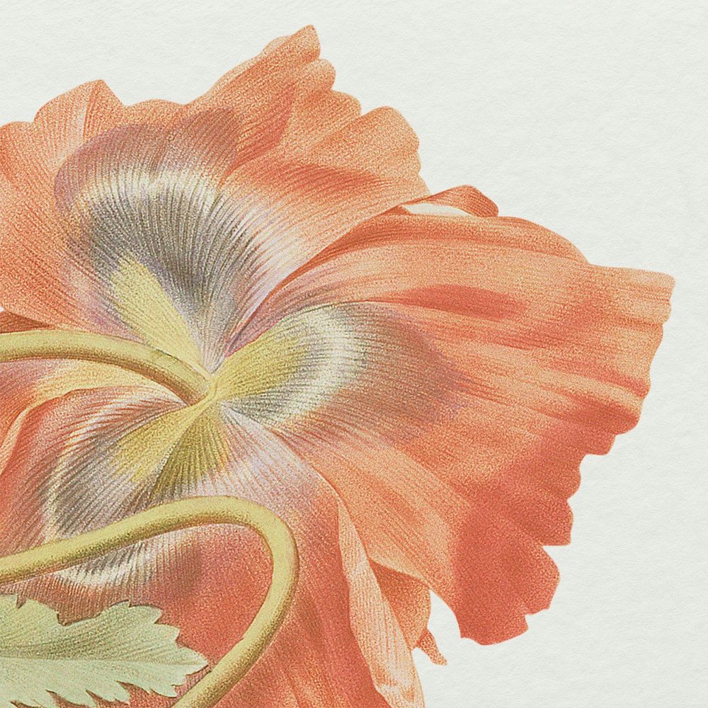 Vintage spring flower background psd illustration, remixed from public domain artworks