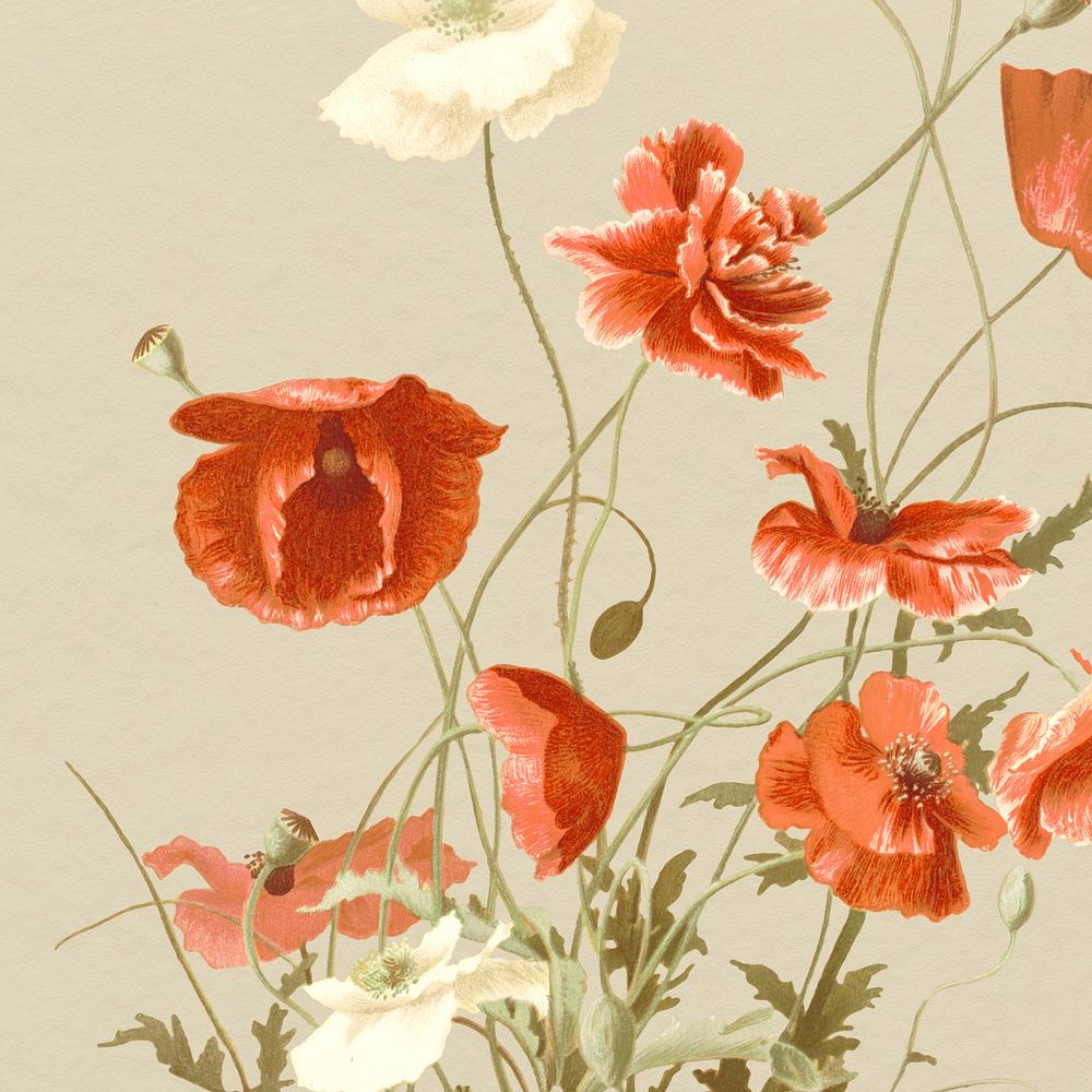 Vintage floral background psd with poppy illustration, remixed from public domain artworks
