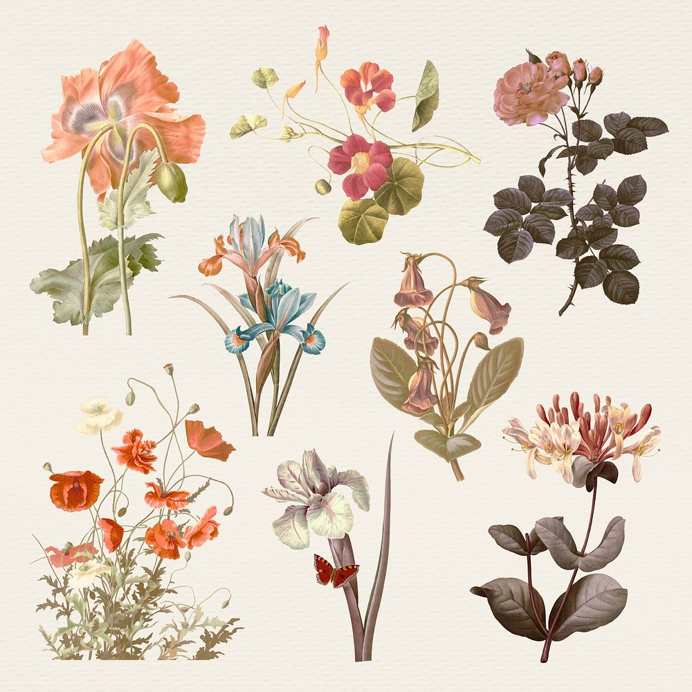 Vintage summer flower psd illustration set, remixed from public domain artworks