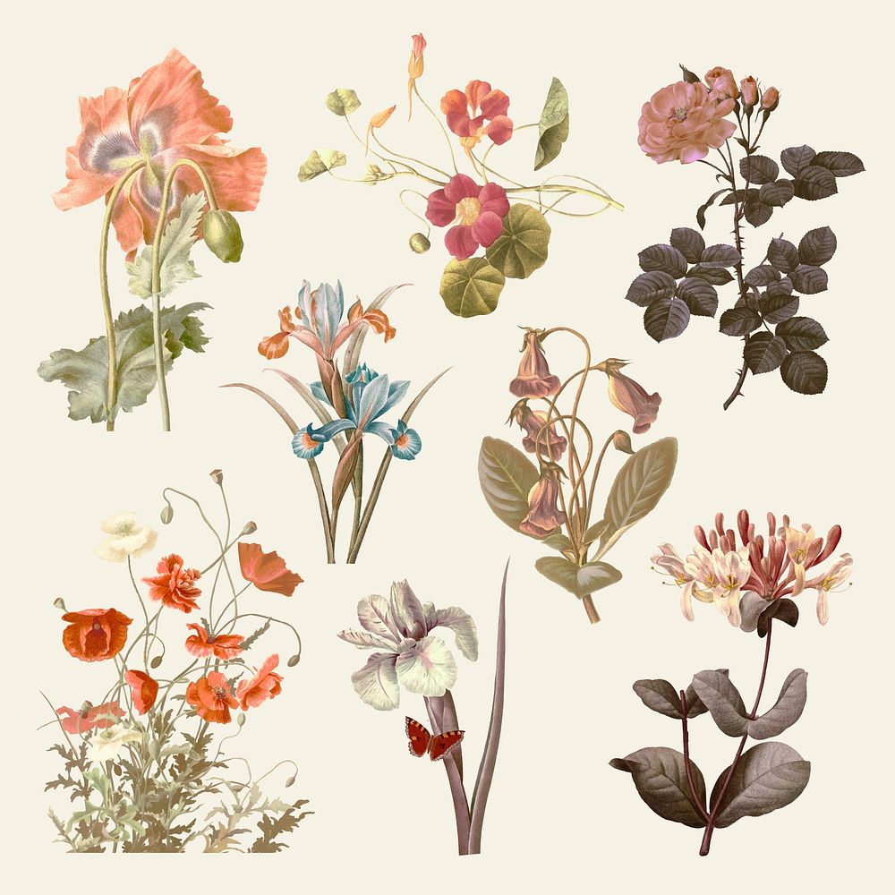 Vintage flower vector illustration set, remixed from public domain artworks