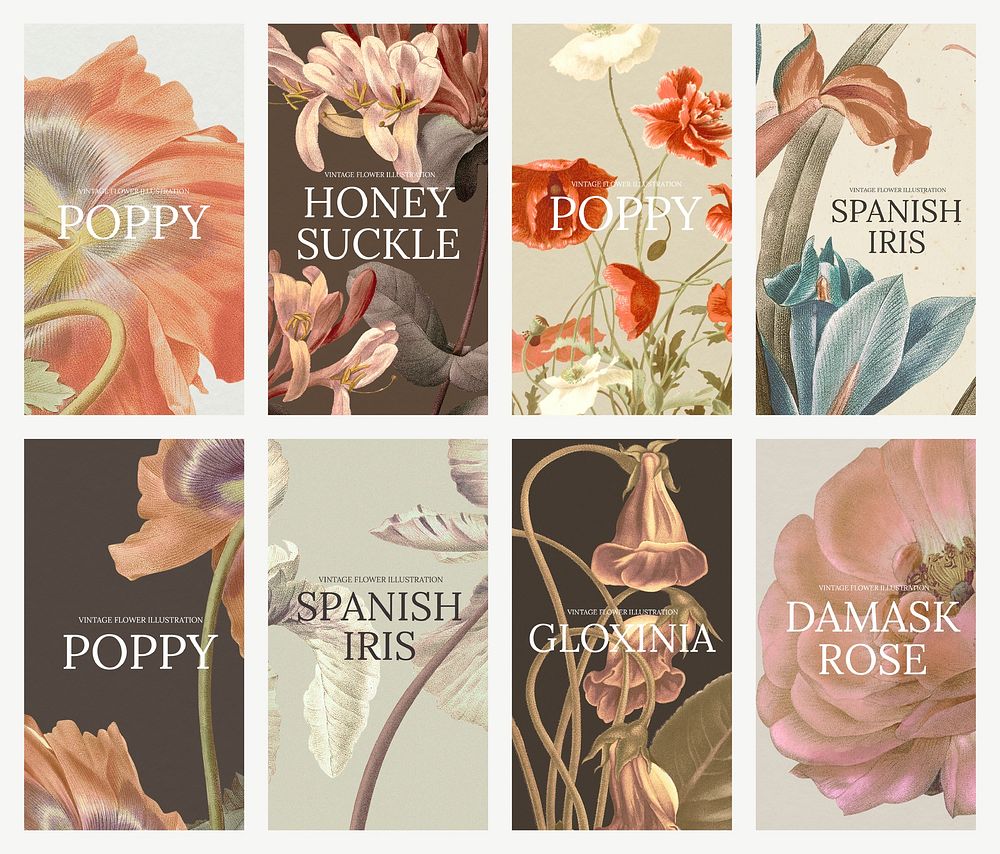 Vintage flower vector template set, remixed from public domain artworks