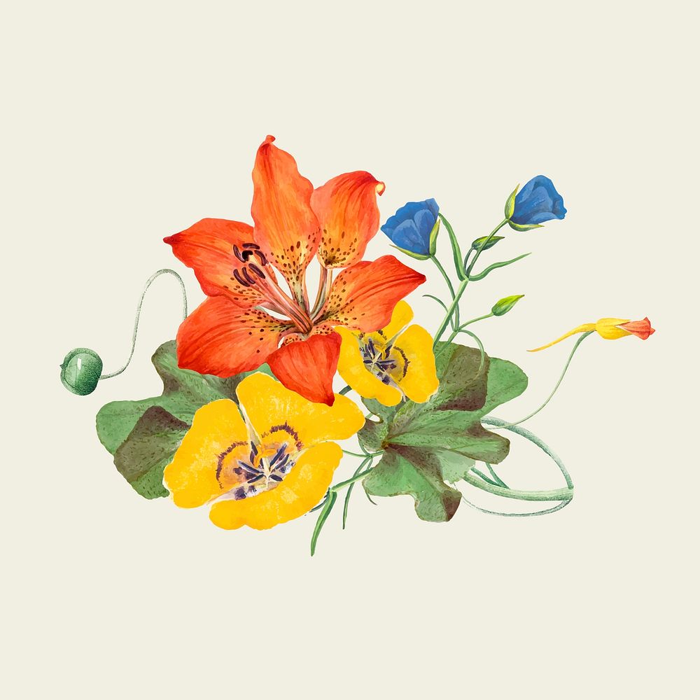 Vintage spring flower vector illustration, remixed from public domain artworks