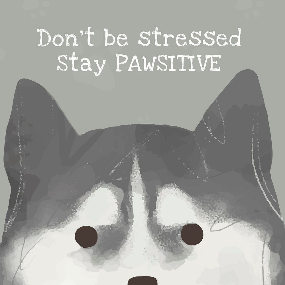 Siberian Husky template vector cute dog quote social media post, don't be stressed stay pawsitive