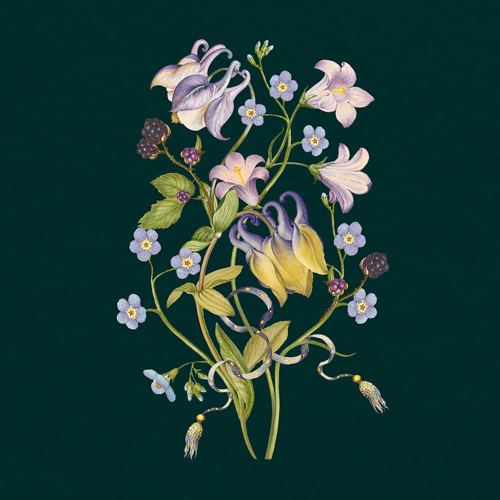 Purple columbine flower bouquet psd dark background, remixed from artworks by Pierre-Joseph Redout&eacute;