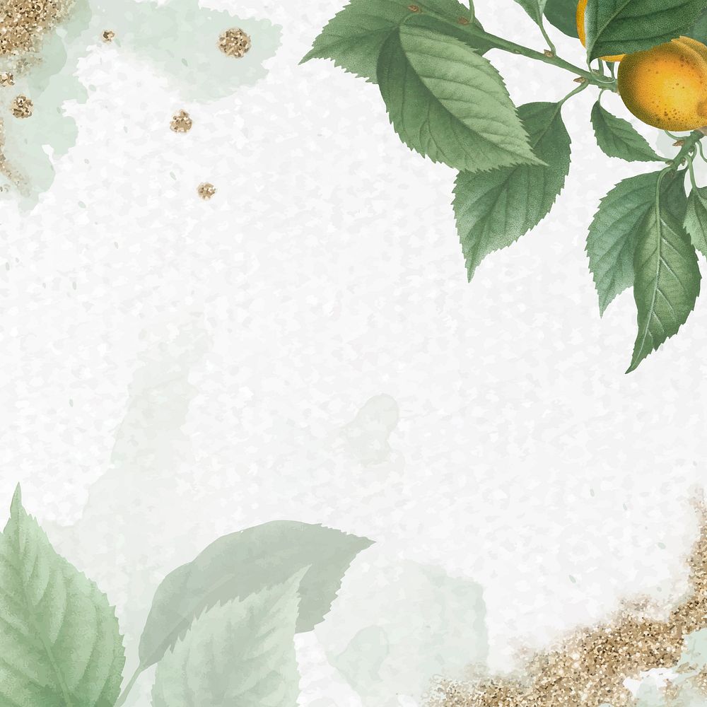 Brian&ccedil;on apricot leaf pattern background vector