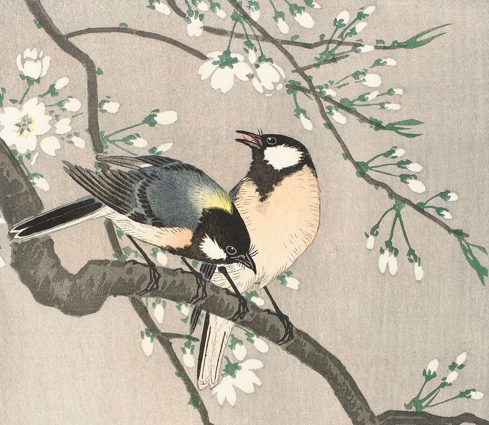 Tits on Cherry Branch (1900&ndash;1910) by Ohara Koson. Original from The Rijksmuseum. Digitally enhanced by rawpixel.