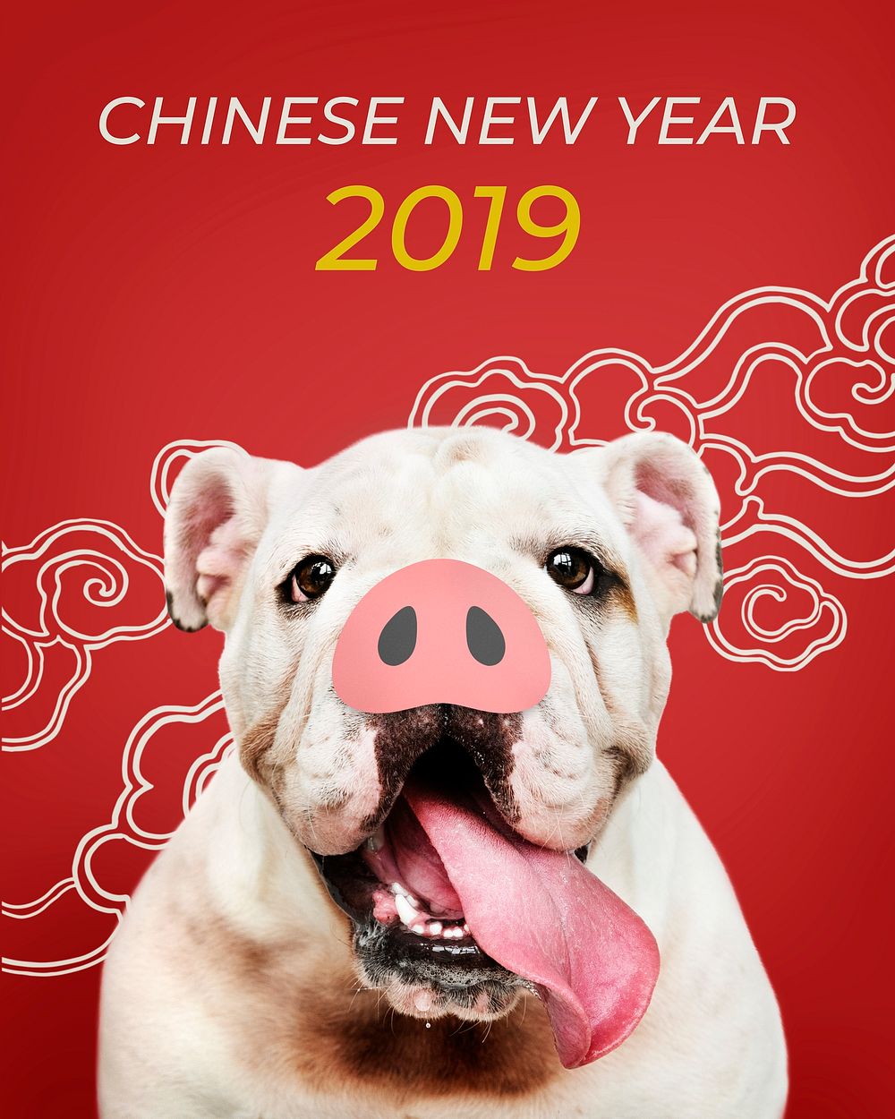Adorable Bulldog puppy with a snout in front of a Chinese New Year background