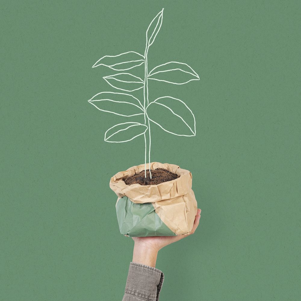 Hand mockup psd holding kraft paper plant pot environmentally friendly