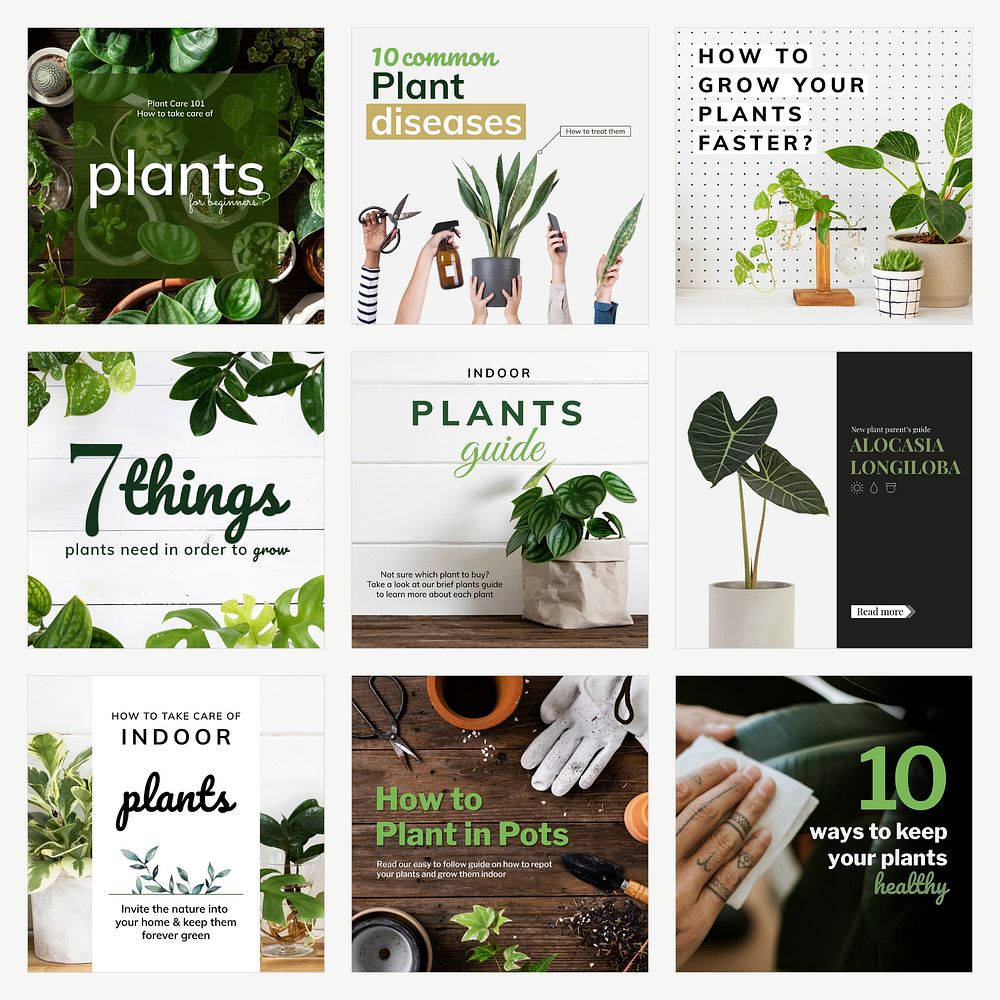 Plant parent beginner template vector guide set