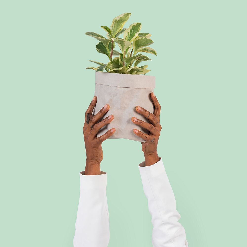 Hand holding plant mockup psd save the environment campaign