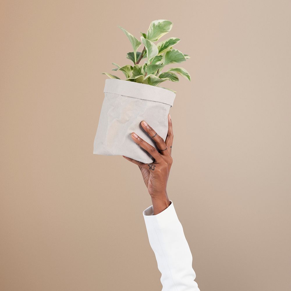 Hand holding plant mockup psd save the environment campaign