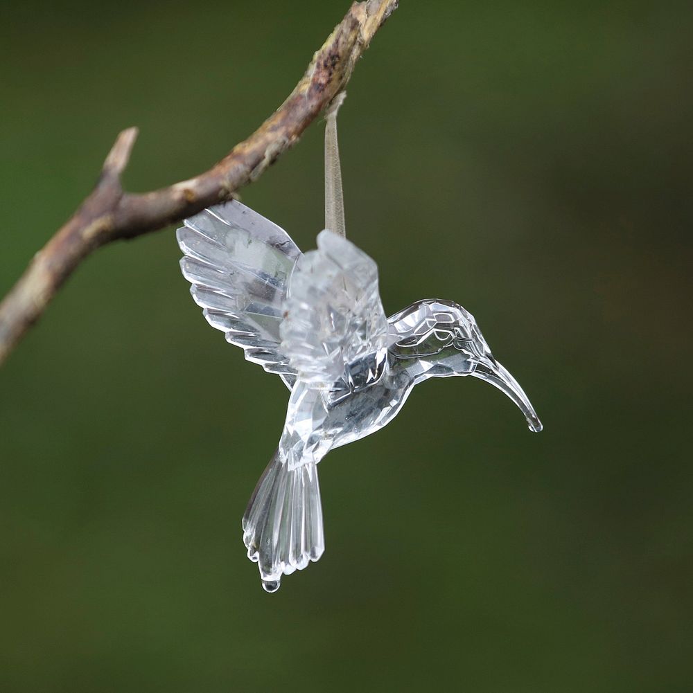 Crystal Hummingbird in the Rain. Original public domain image from Wikimedia Commons