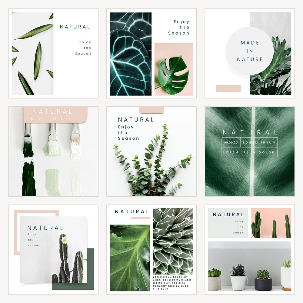 Instagram ad template vector with plants set