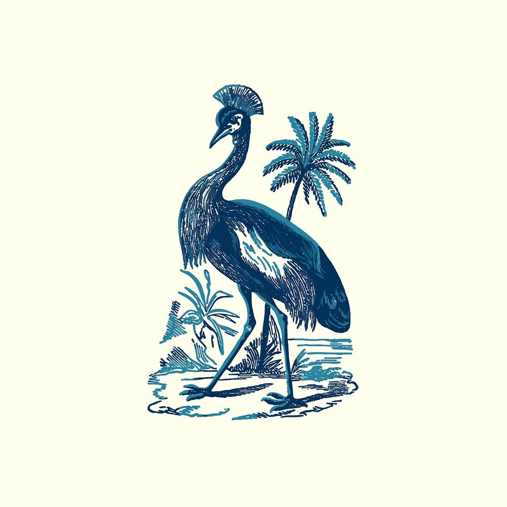 Blue crowned crane vector hand drawn illustration