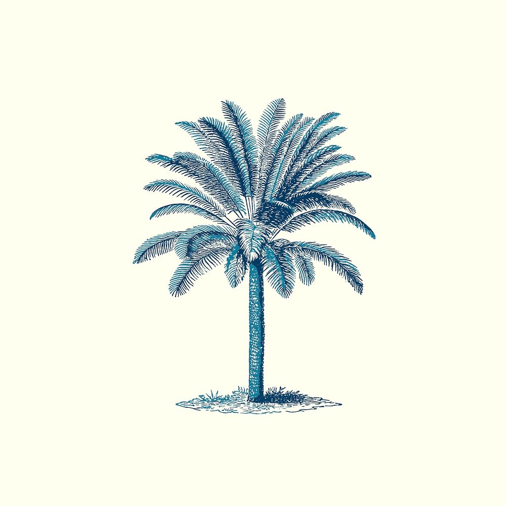 Blue palm tree psd hand drawn illustration