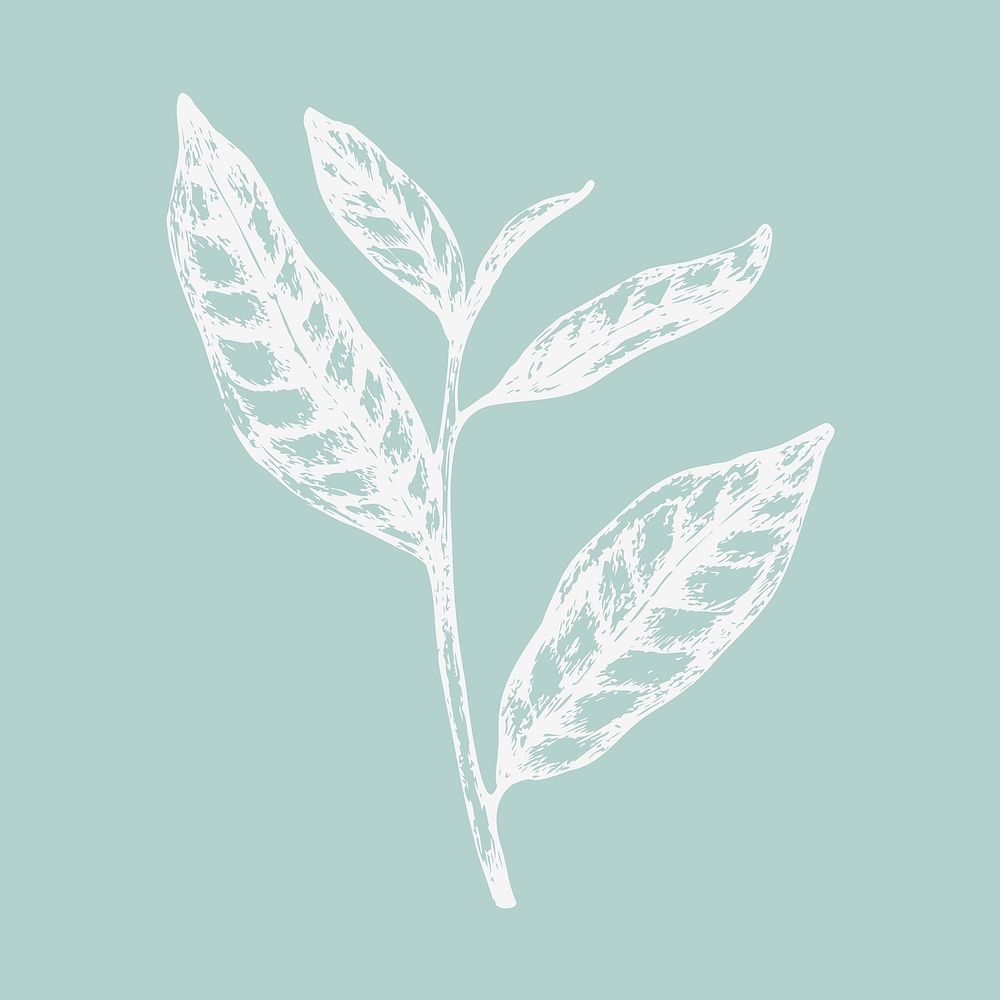 White leaf clipart, cute design vector