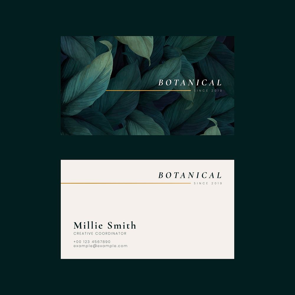 Business card template vector green leaf style set