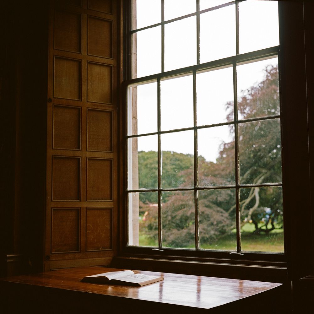 Tree through a window. Original public domain image from Wikimedia Commons