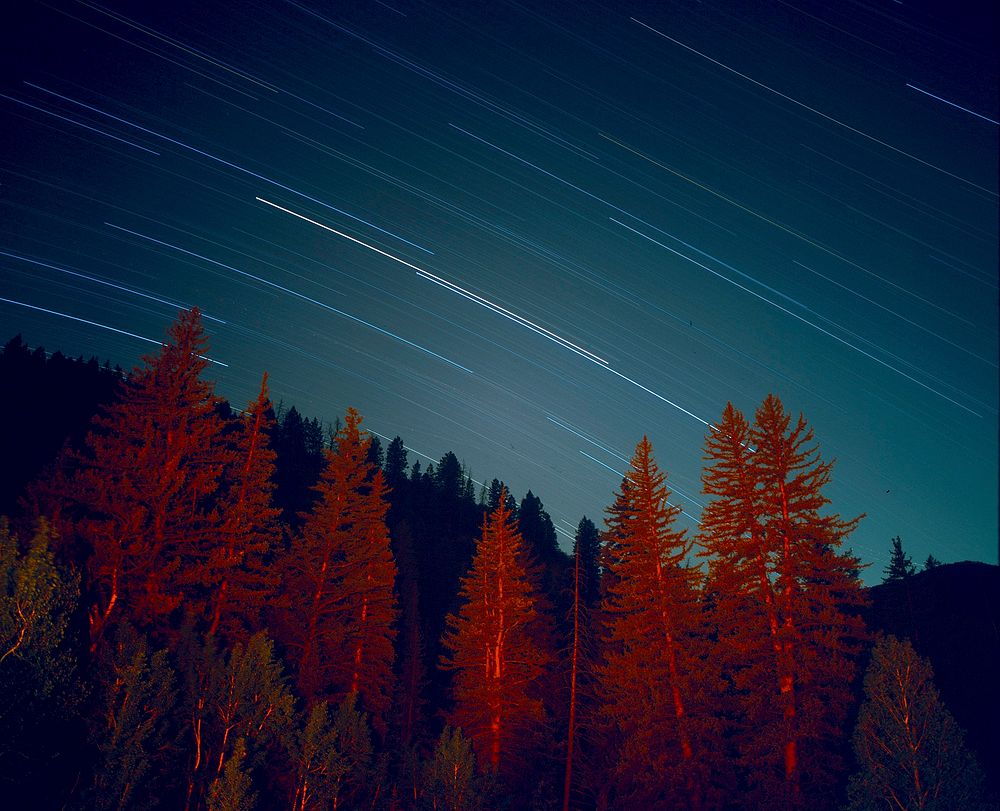 Red light on coniferous trees under straight lines formed by stars moving in the sky. Original public domain image from…