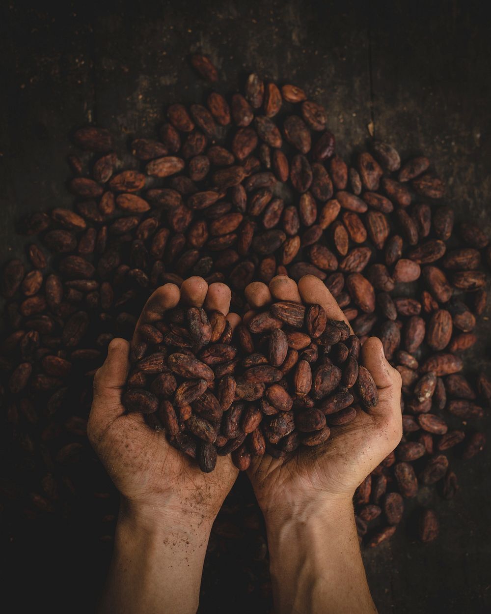 Person holding dried beans. Original public domain image from Wikimedia Commons