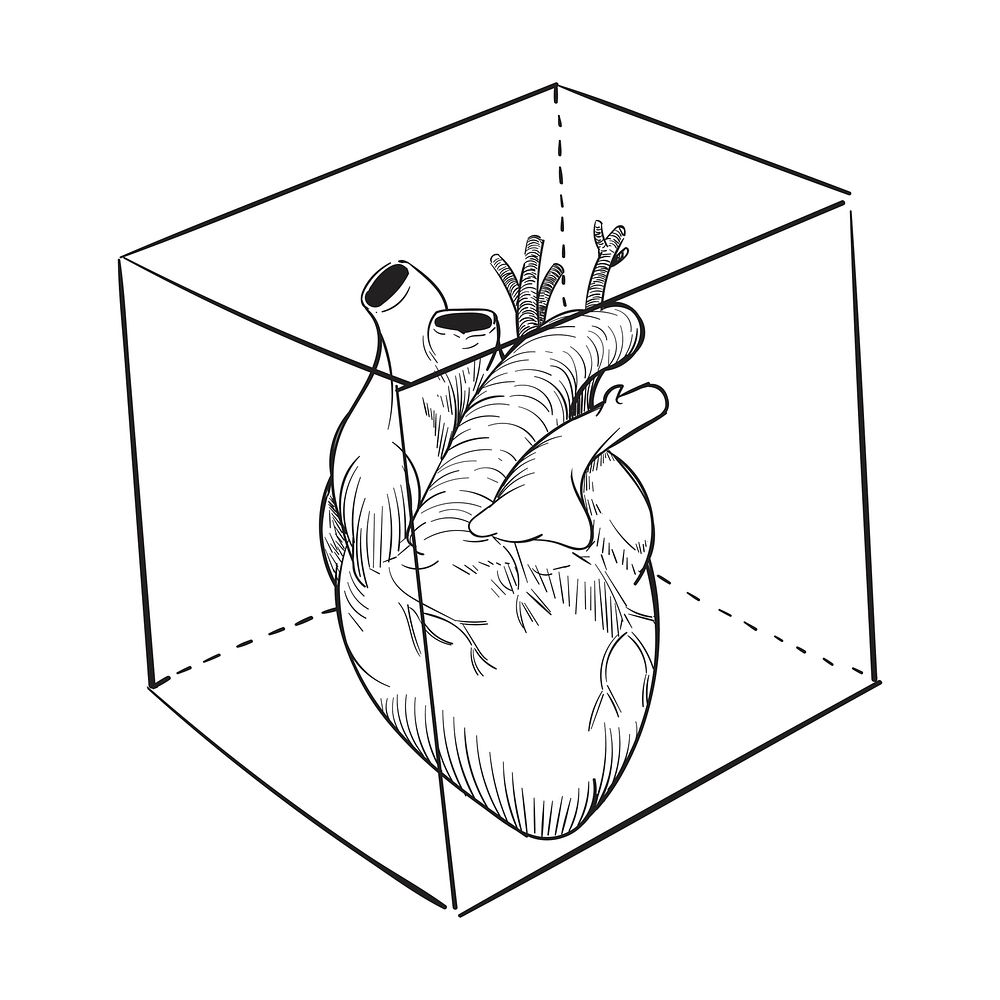 Hand drawing illustration of captived heart