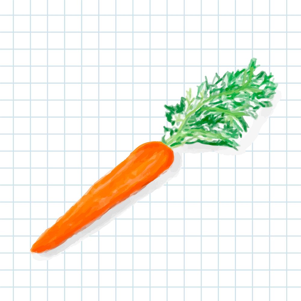 Hand drawn carrot watercolor style