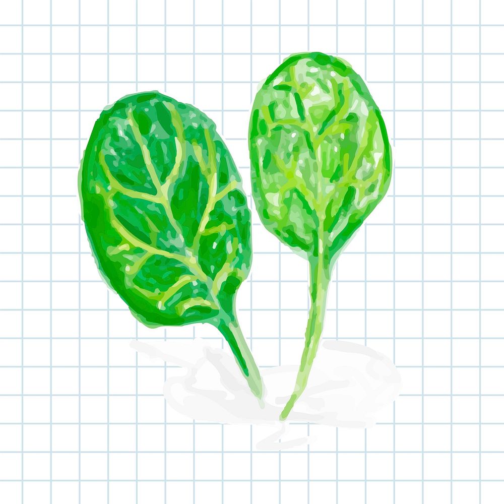 Hand drawn vegetable watercolor style