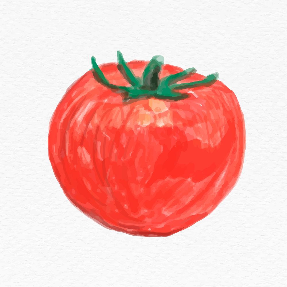 Watercolor red tomato psd hand drawn