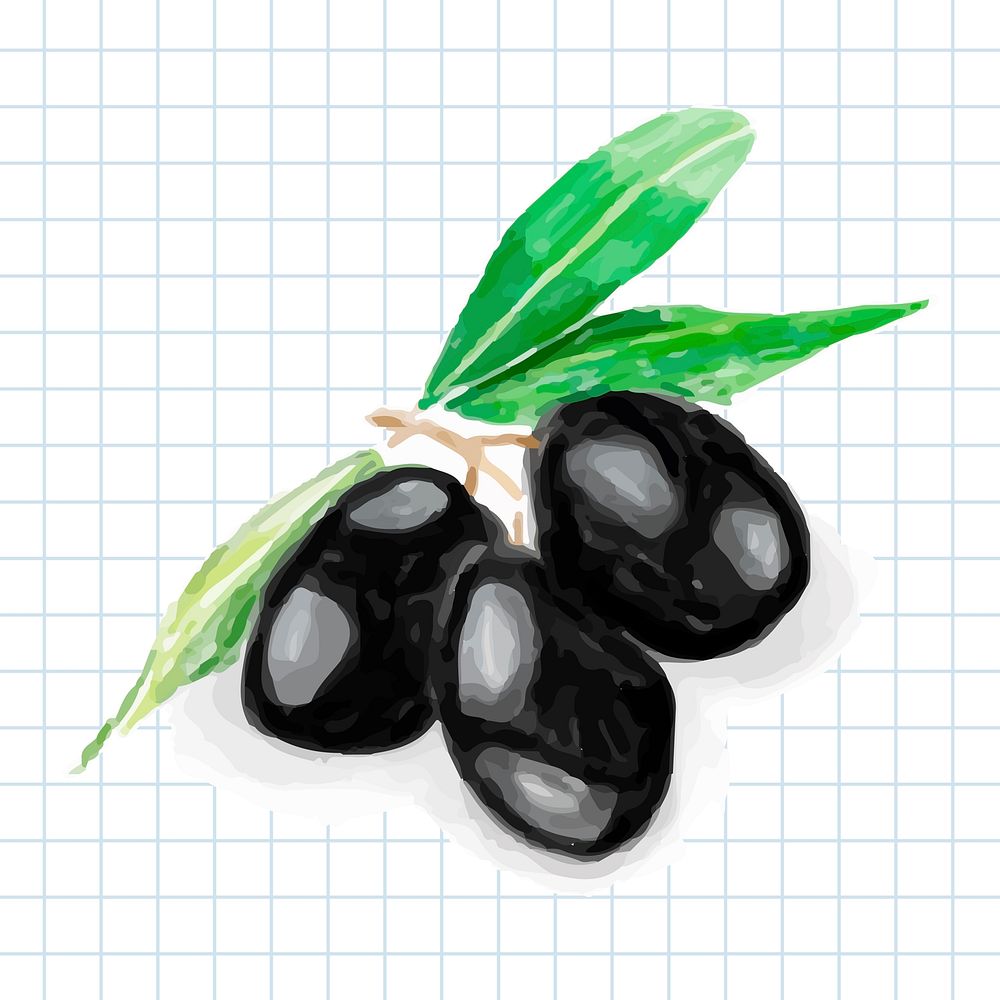Hand drawn olives watercolor style