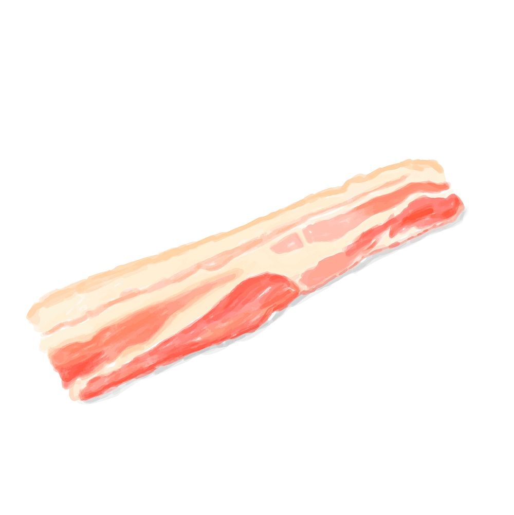 Hand drawn bacon watercolor style
