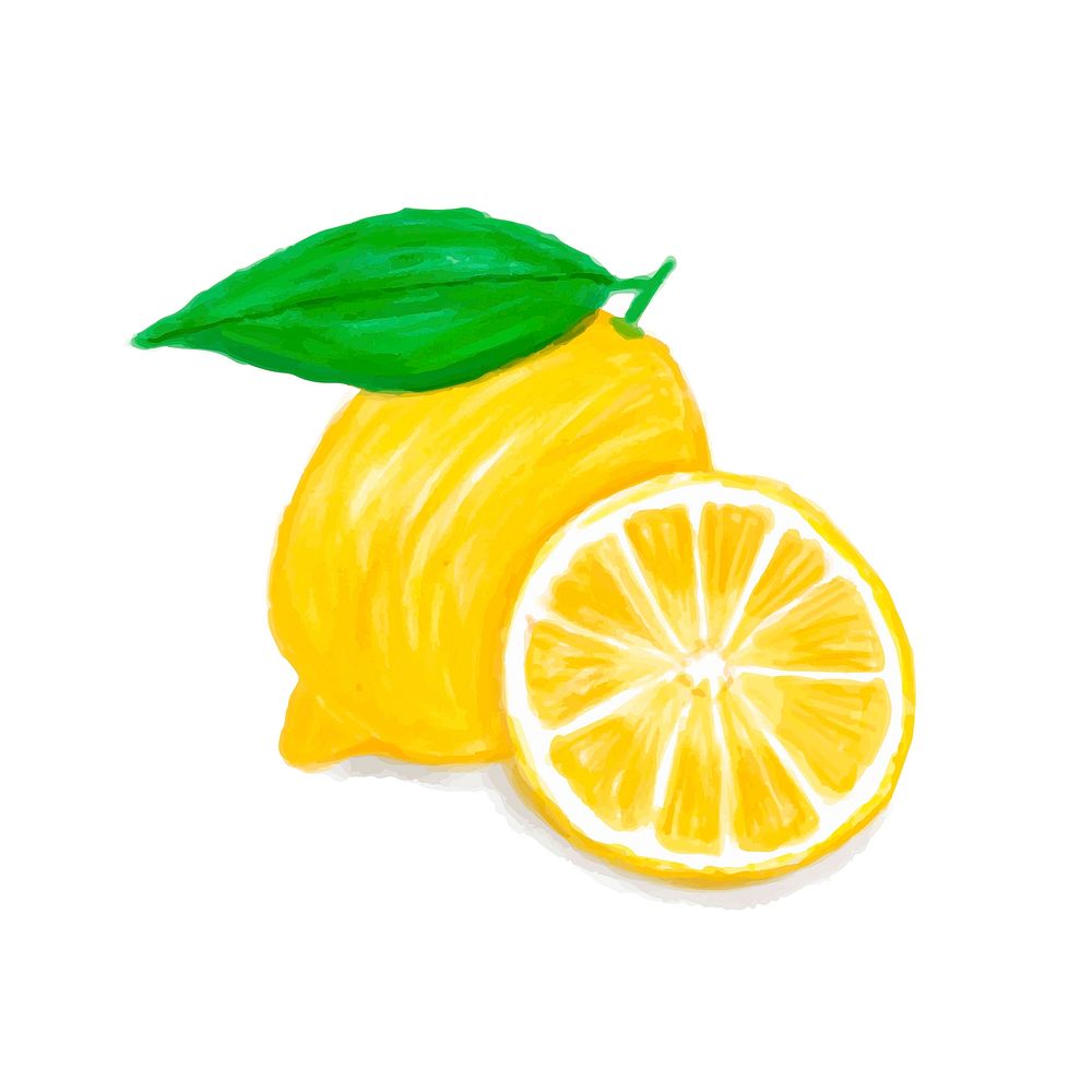 Hand drawn lemon watercolor style