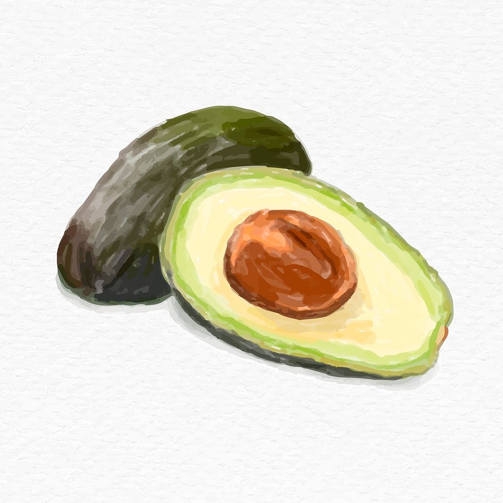 Green avocado psd watercolor hand drawn