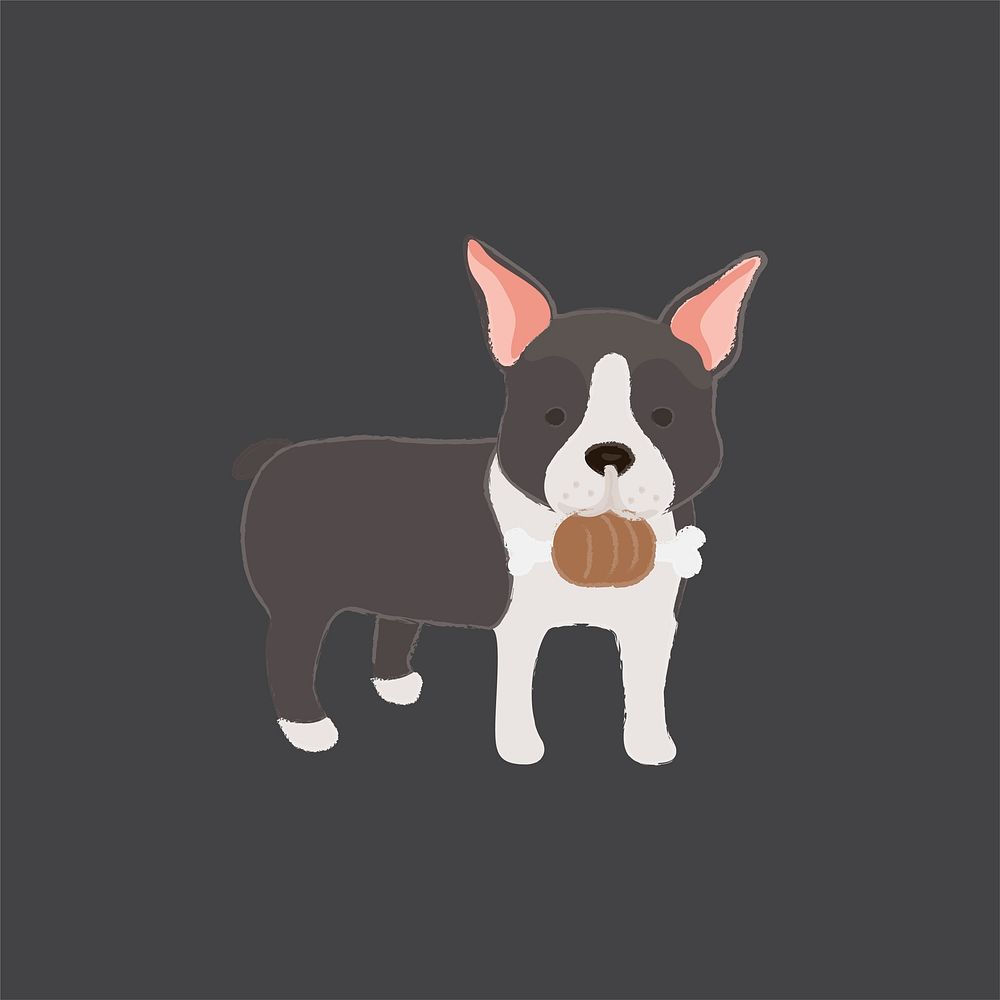 Cute illustration of a boston terrier dog