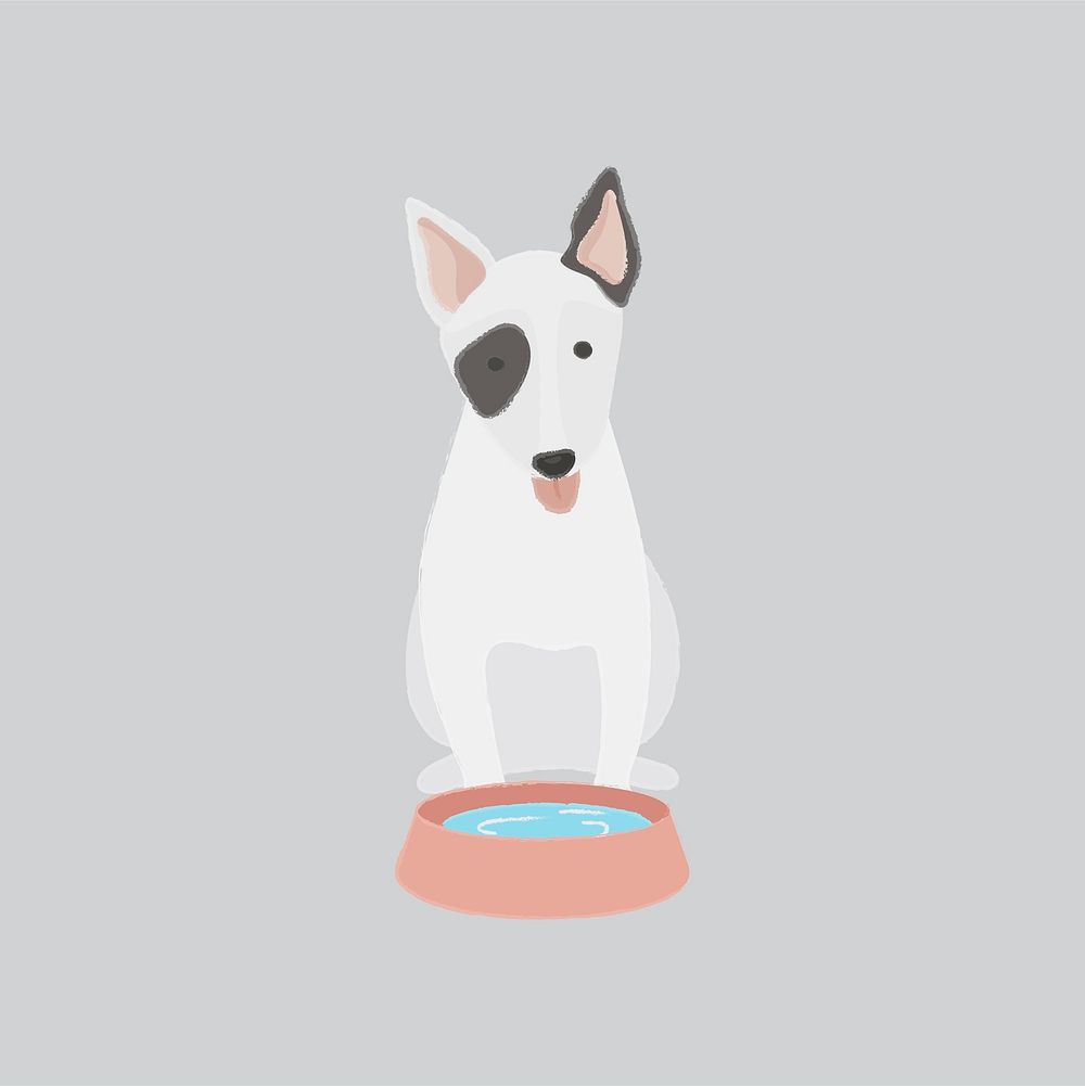 Bull terrier with a bowl of water vector