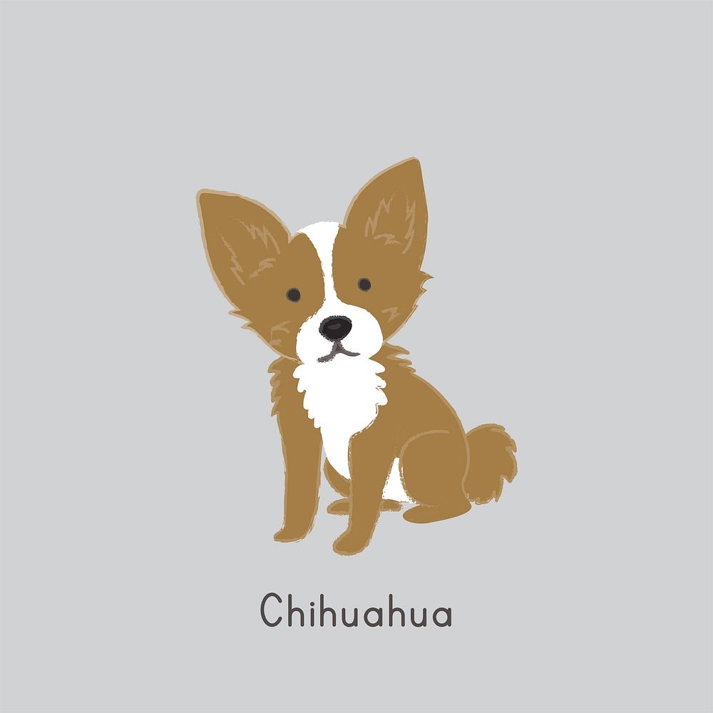 Cute illustration of a chihuahua dog