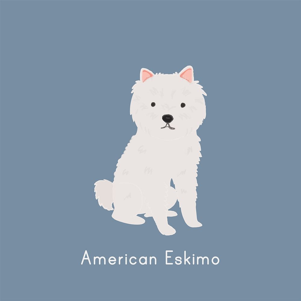 Cute illustration of an american eskimo dog