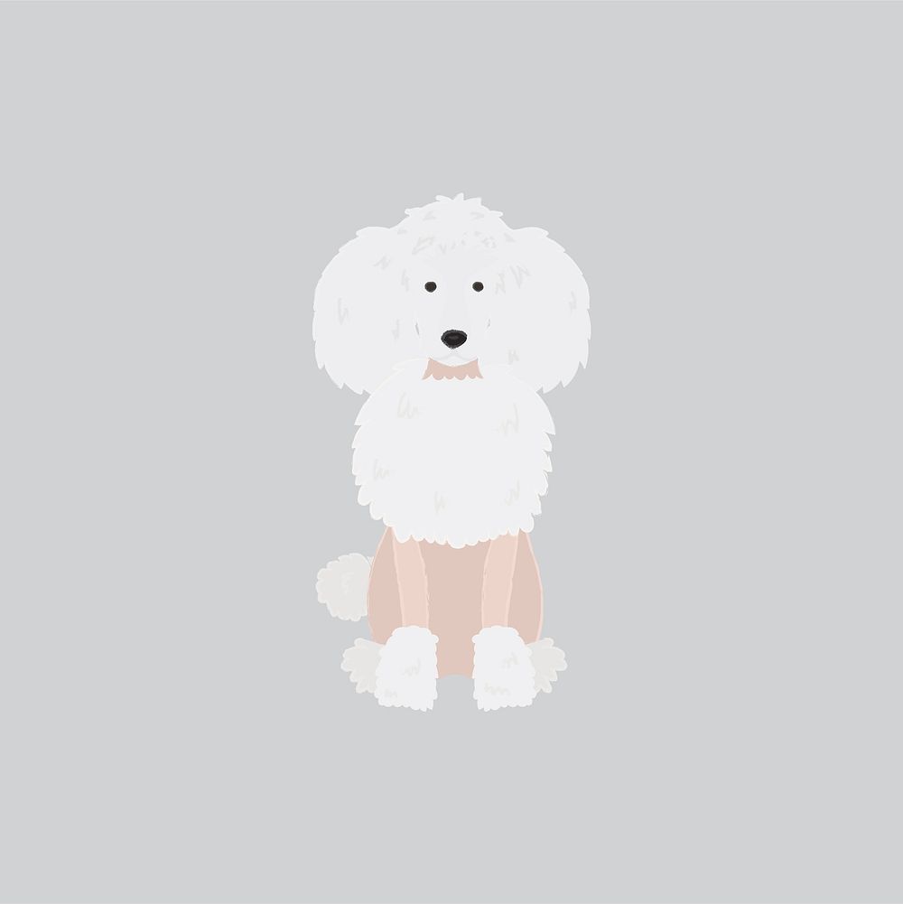 Cute illustration of a poodle dog