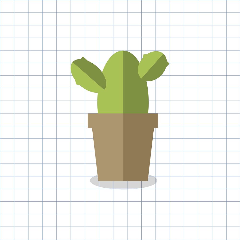 Cactus plant in a pot vector