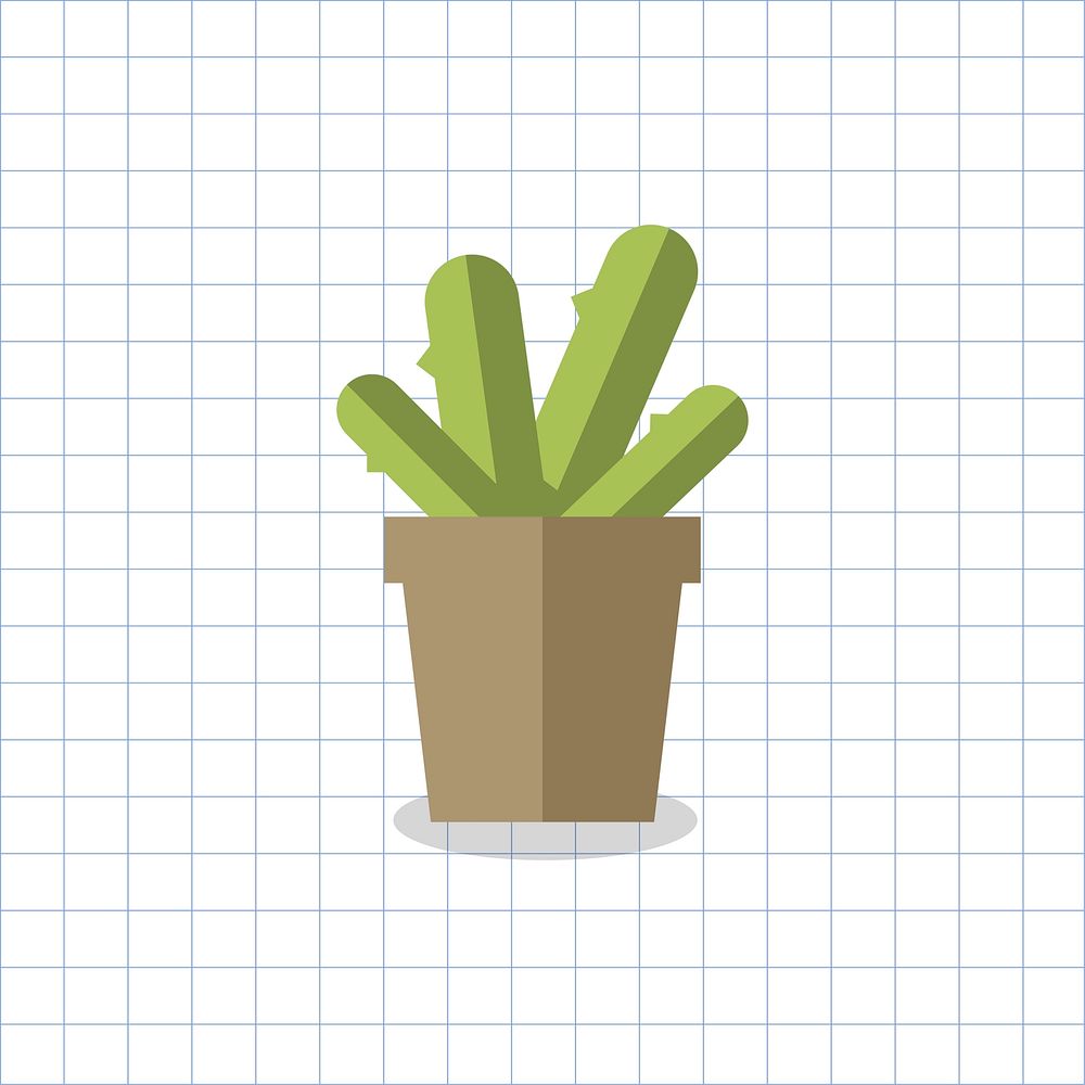 Cactus plant in a pot vector