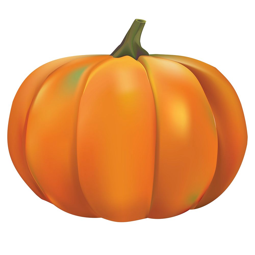 Illustration of pumpkin isolated on white background