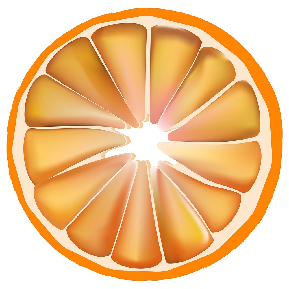 Illustration of dried orange for home decoration